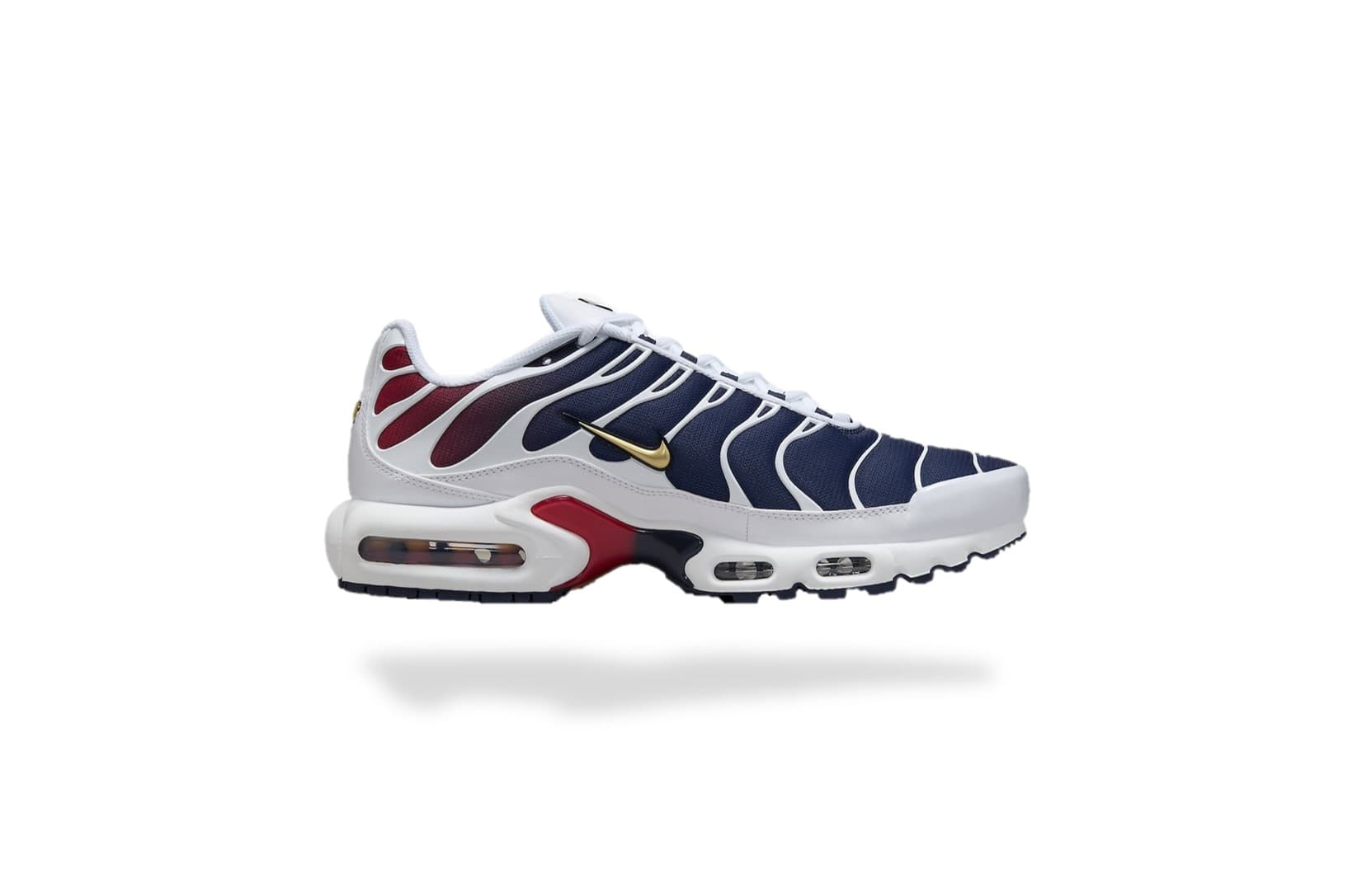NIKE AIR MAX PLUS TN PSG