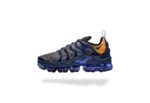 AIR VAPORMAX PLUS TN