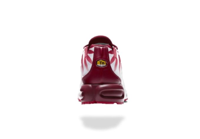 AIR MAX PLUS TN AFTER THE BITE