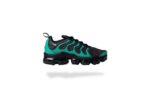 AIR VAPORMAX PLUS 'EAGLES'