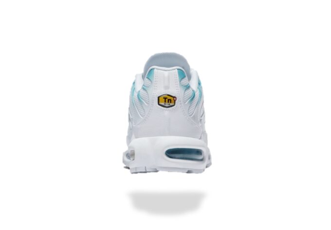 NIKE AIR MAX PLUS TN WHITE BLUE FURY