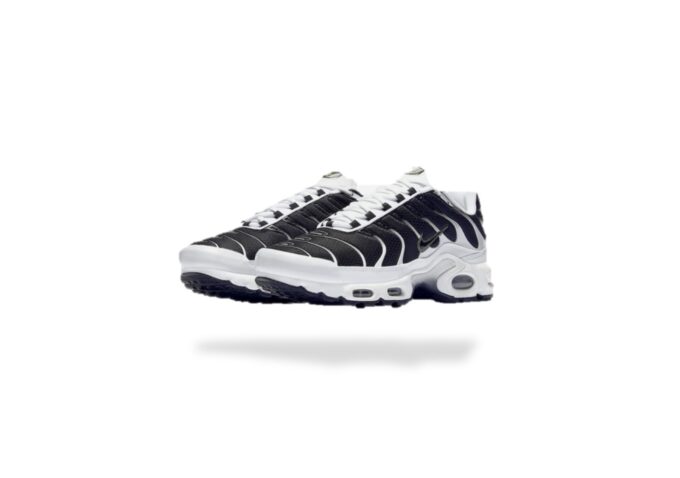 AIR MAX PLUS TN BLACK METALLIC PEWTER