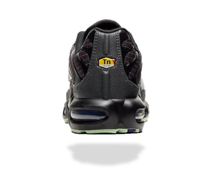 Nike AIR MAX PLUS TN FUTURE SWOOSH