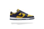 NIKE DUNK LOW MICHIGAN