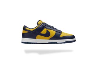 NIKE DUNK LOW MICHIGAN