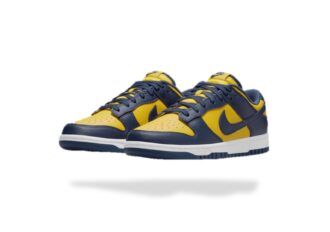 NIKE DUNK LOW MICHIGAN