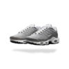 NIKE AIR MAX PLUS TN FLAT PEWTER