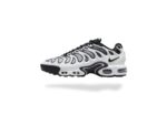 NIKE AIR MAX PLUS TN DRIFT PANDA