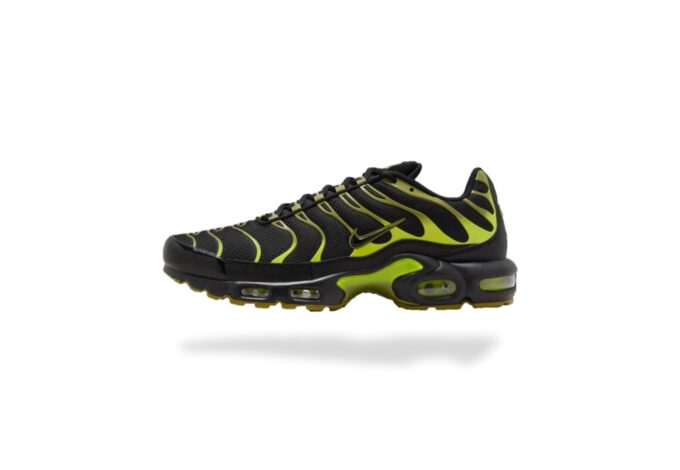 NIKE AIR MAX PLUS TN PACIFIC MOSS