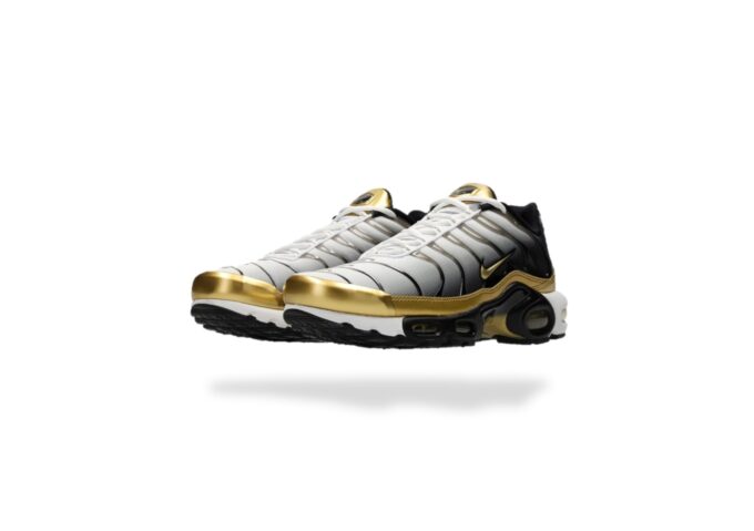 NIKE AIR MAX PLUS TN Premium 50TH Anniversary