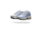 NIKE AIR MAX PLUS TN DAYBREAK