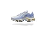 NIKE AIR MAX PLUS TN DAYBREAK