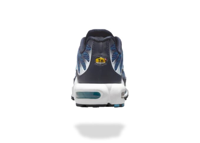 NIKE AIR MAX PLUS TN DARK OBSIDIAN