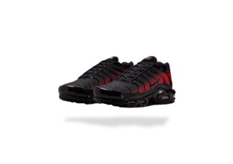 NIKE AIR MAX PLUS TN GRADIENT BRED