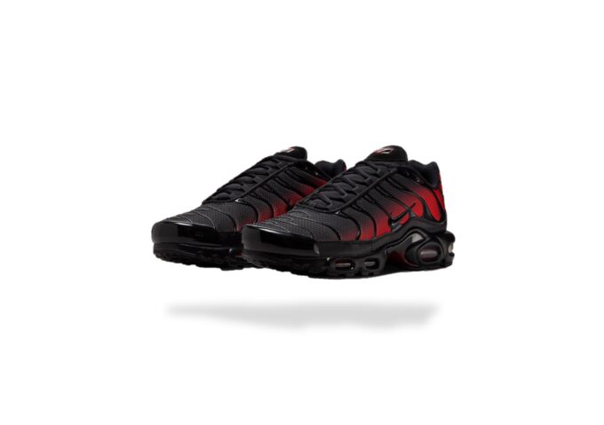 NIKE AIR MAX PLUS TN GRADIENT BRED