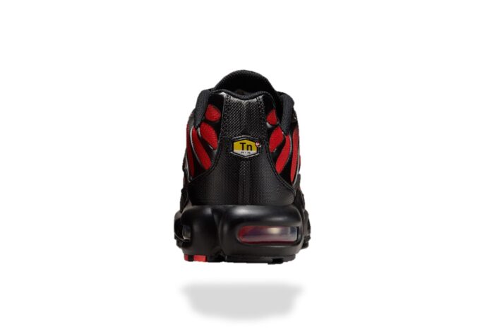 NIKE AIR MAX PLUS TN GRADIENT BRED