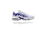 NIKE AIR MAX PLUS TN WILD GRAPE