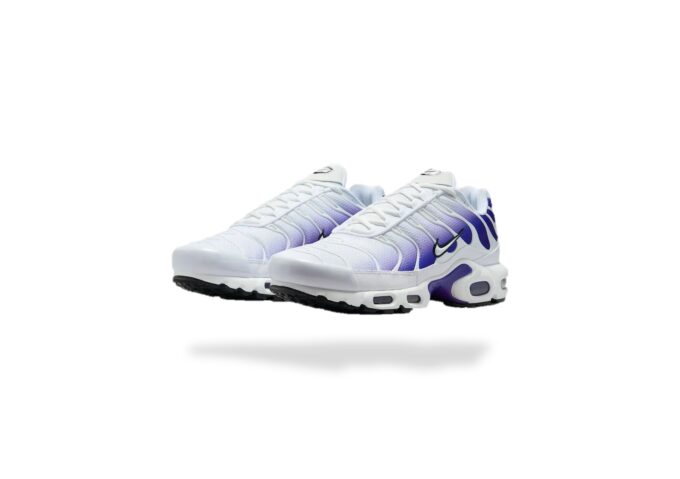 NIKE AIR MAX PLUS TN WILD GRAPE