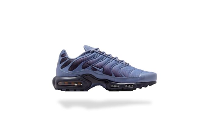 NIKE AIR MAX PLUS TN WORLD INDIGO