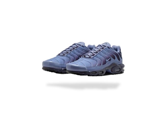 NIKE AIR MAX PLUS TN WORLD INDIGO