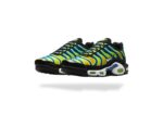 NIKE AIR MAX PLUS TN HEAT MAP