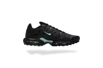 NIKE AIR MAX PLUS TN BLACK MINT FOAM