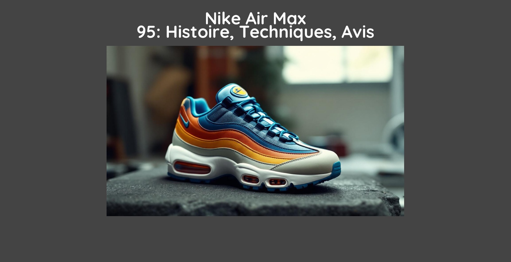 Nike Air Max 95: Histoire, Techniques, Avis