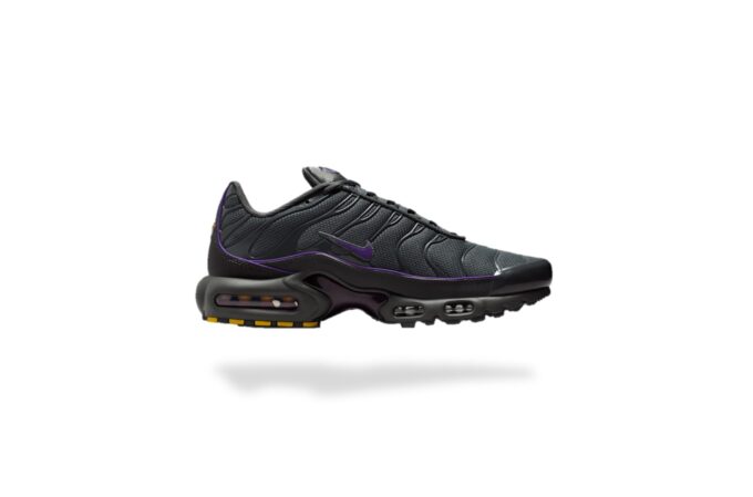 NIKE AIR MAX PLUS TN IRON GREY WILD GRAPE