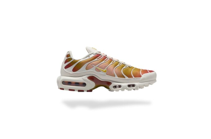 NIKE AIR MAX PLUS TN RUGGED ORANGE
