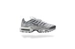 NIKE AIR MAX PLUS TN METALLIC SILVER ASHEN SLATE