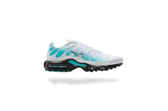 NIKE AIR MAX PLUS TN DUSTY CACTUS