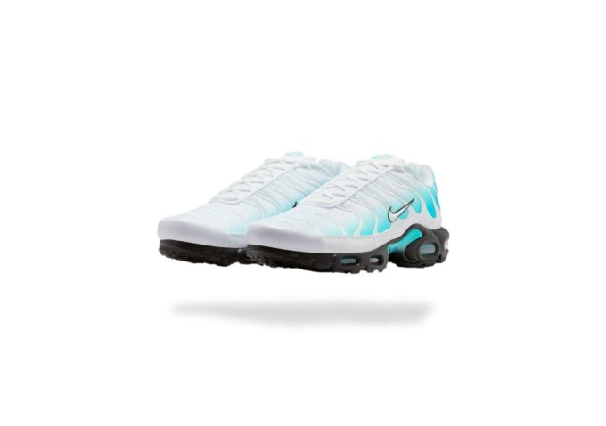 NIKE AIR MAX PLUS TN DUSTY CACTUS