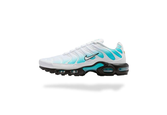 NIKE AIR MAX PLUS TN DUSTY CACTUS