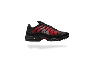 NIKE AIR MAX PLUS TN FLAIREMAX