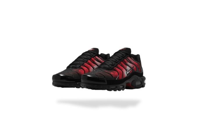 NIKE AIR MAX PLUS TN FLAIREMAX